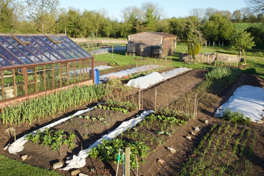 View from house 1st May