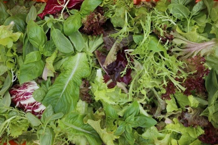 Salad leaves summer, different mix to winter