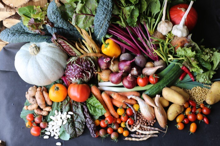 Harvest festival veg September no dig