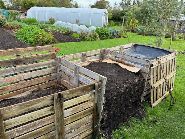 Compost heaps enclosed by pallets at Charles Dowding's garden