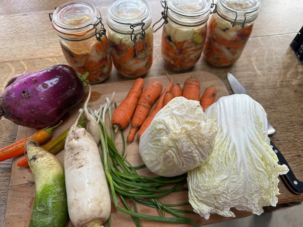 Ingredients for making kimchi grown in my no dig garden, October