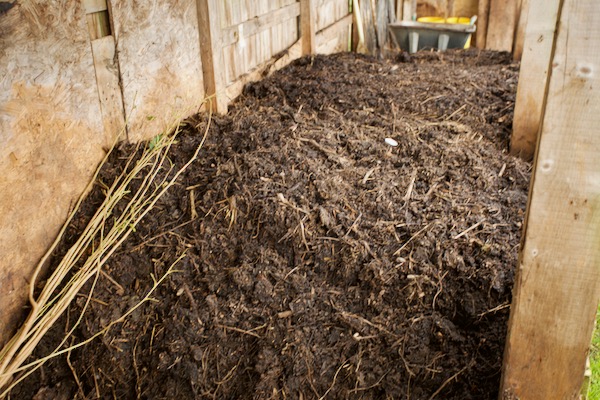 Compost homemade is two to four months old
