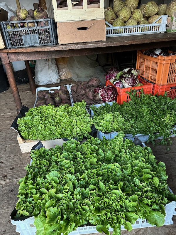 These crates stay in the shed on a frosty night, otherwise on the veranda