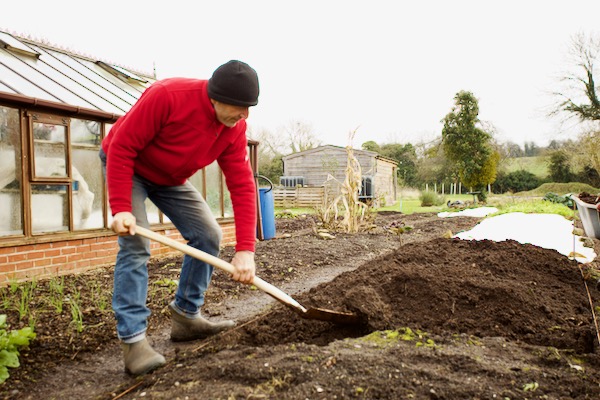 1 Dig bed of trial, I keep digging trenches and then