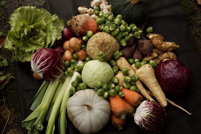 Vegetable harvests and from store at winter solstice, Homeacres no dig garden