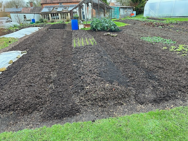 No dig bed prep - all beds are now mulched or covered with about 3cm compost, and paths with old woodchip same depth