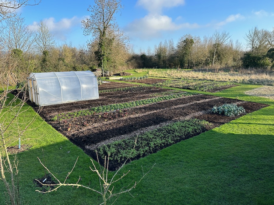 No dig garden in midwinter, Charles Dowding 