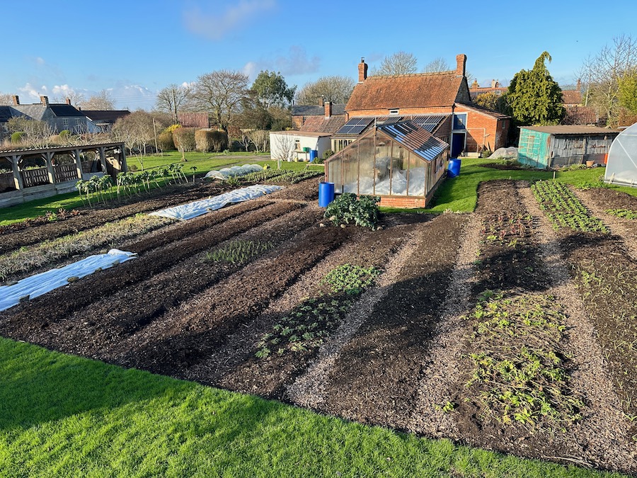 Mid January 2024 no dig garden and beds ready for March plantings
