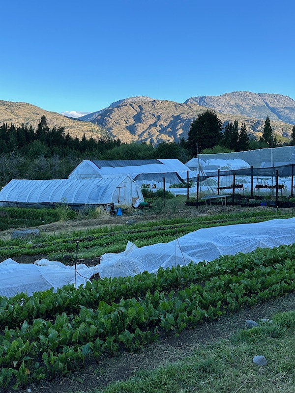 Huerta Cuatro Estaciones in southern Chile, beside the Andes ice-fields