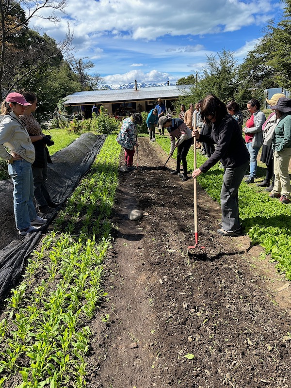 Course attendees preparing a no dig bed to sow carrots after clearing spinach and making a compost heap