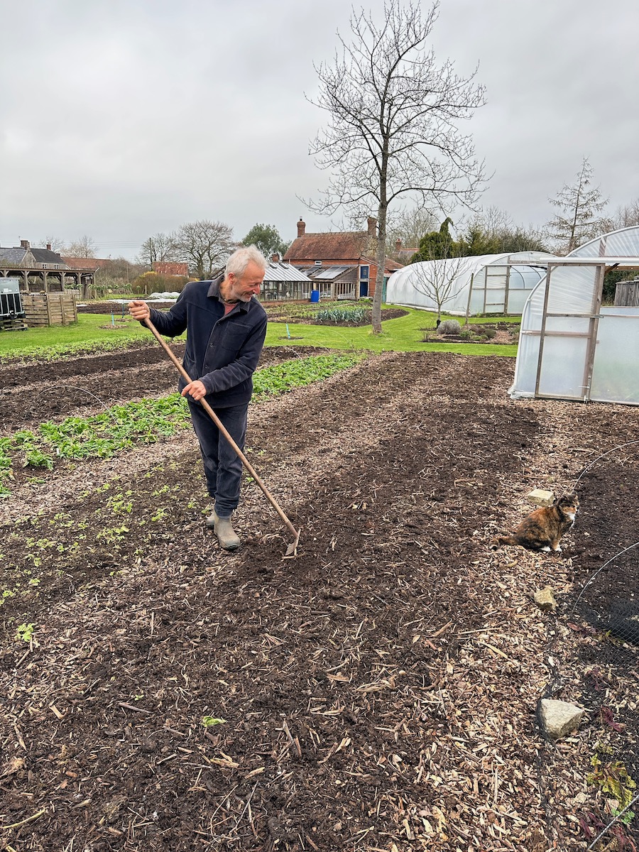 Late January, Charles is knocking out compost lumps and levelling the surface compost. This also disturbs weed seedlings.