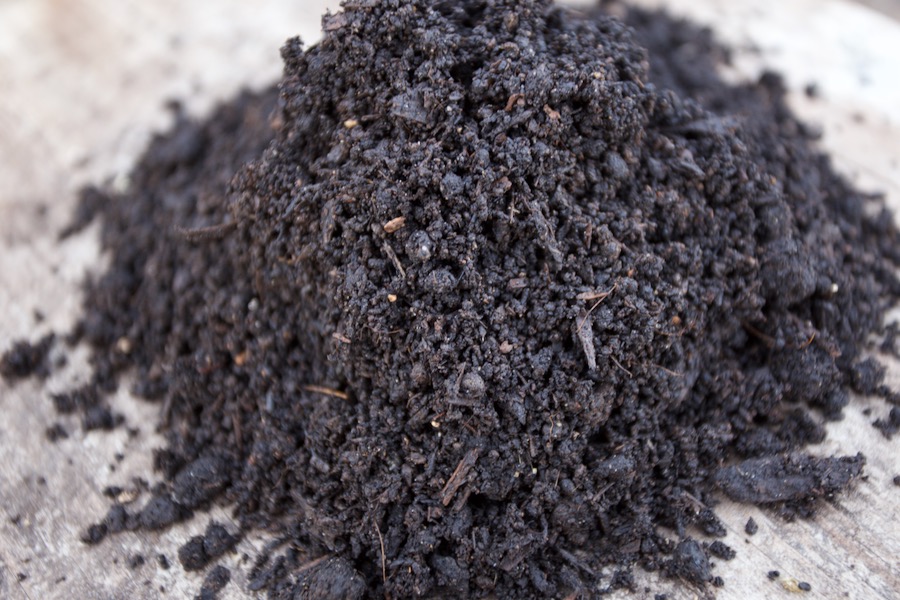 My mix of potting compost (potting soil in the US) is 20% worm compost, 20% old woodchip. 60% year-old homemade compost