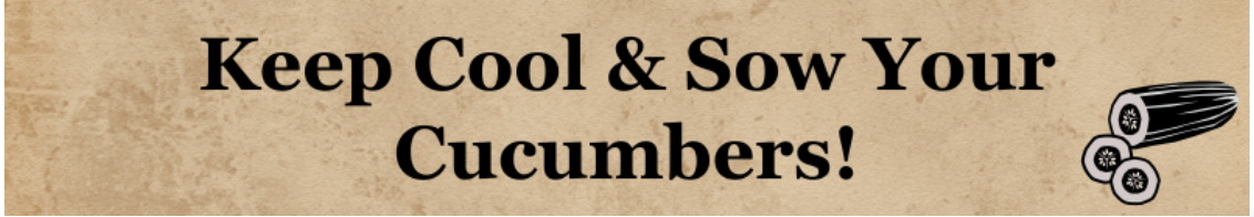 From a well known British seed company, email 12th February 2024