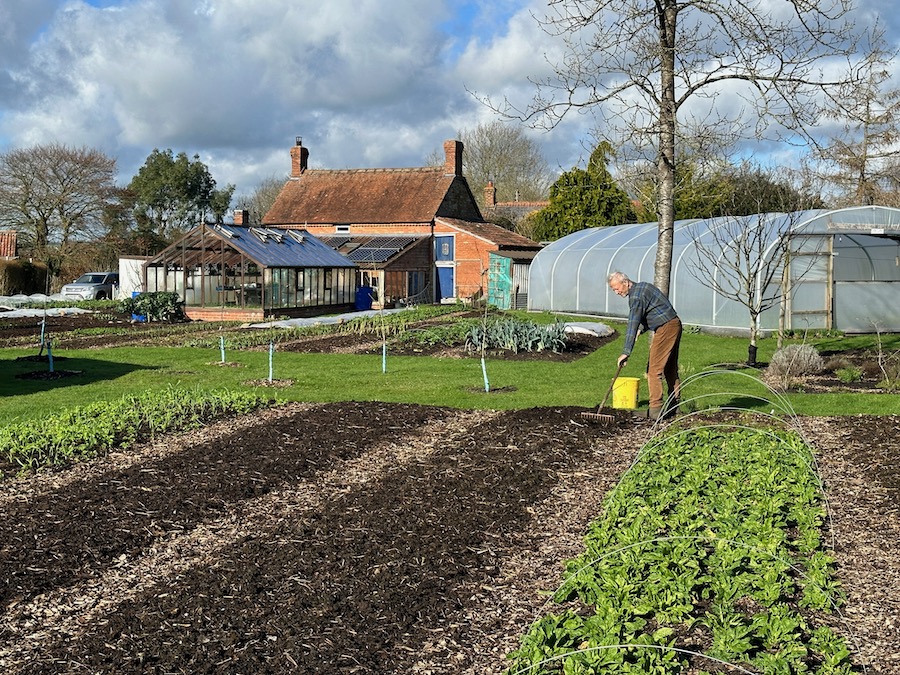 Starting to rake a bed which has homemade compost on top which includes some largr pieces of woody material, which I glick into the paths. Spinach on right was planted August.
