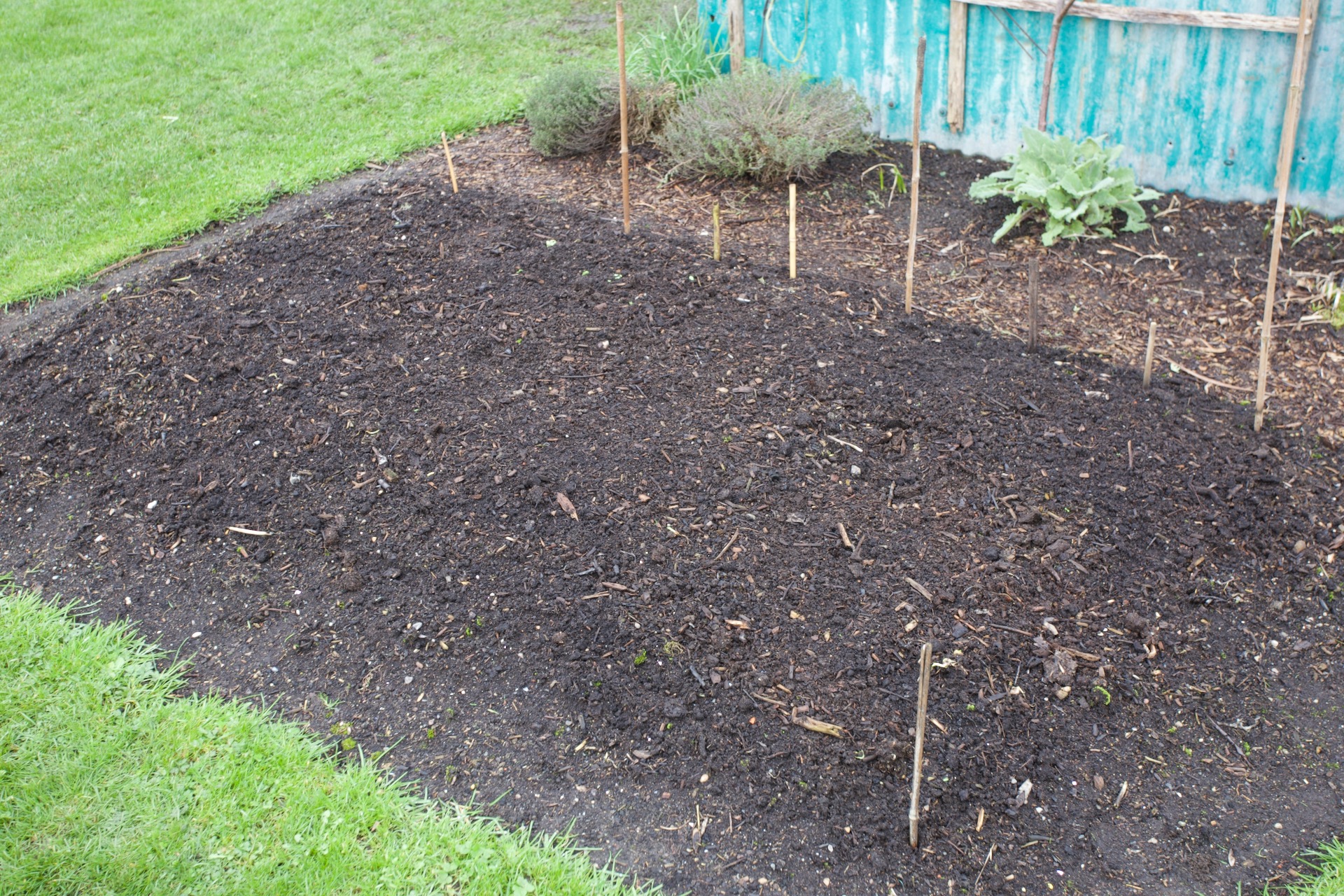 My bed by the shed, with sticks marking the position and spacings of rows across the bed, of different vegetables. This is on the Fryd app.
