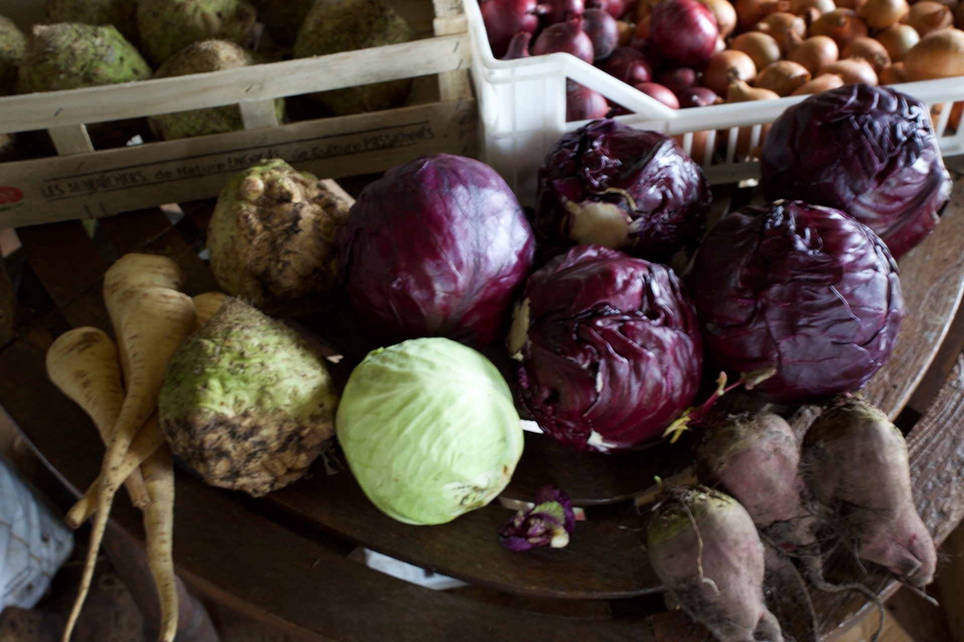 Stored for three months red cabbage Granat, celeriac Prinz, beetroot Cheltenham Green Top, parsnip White Gem and onions all grown no dig by Charles Dowding