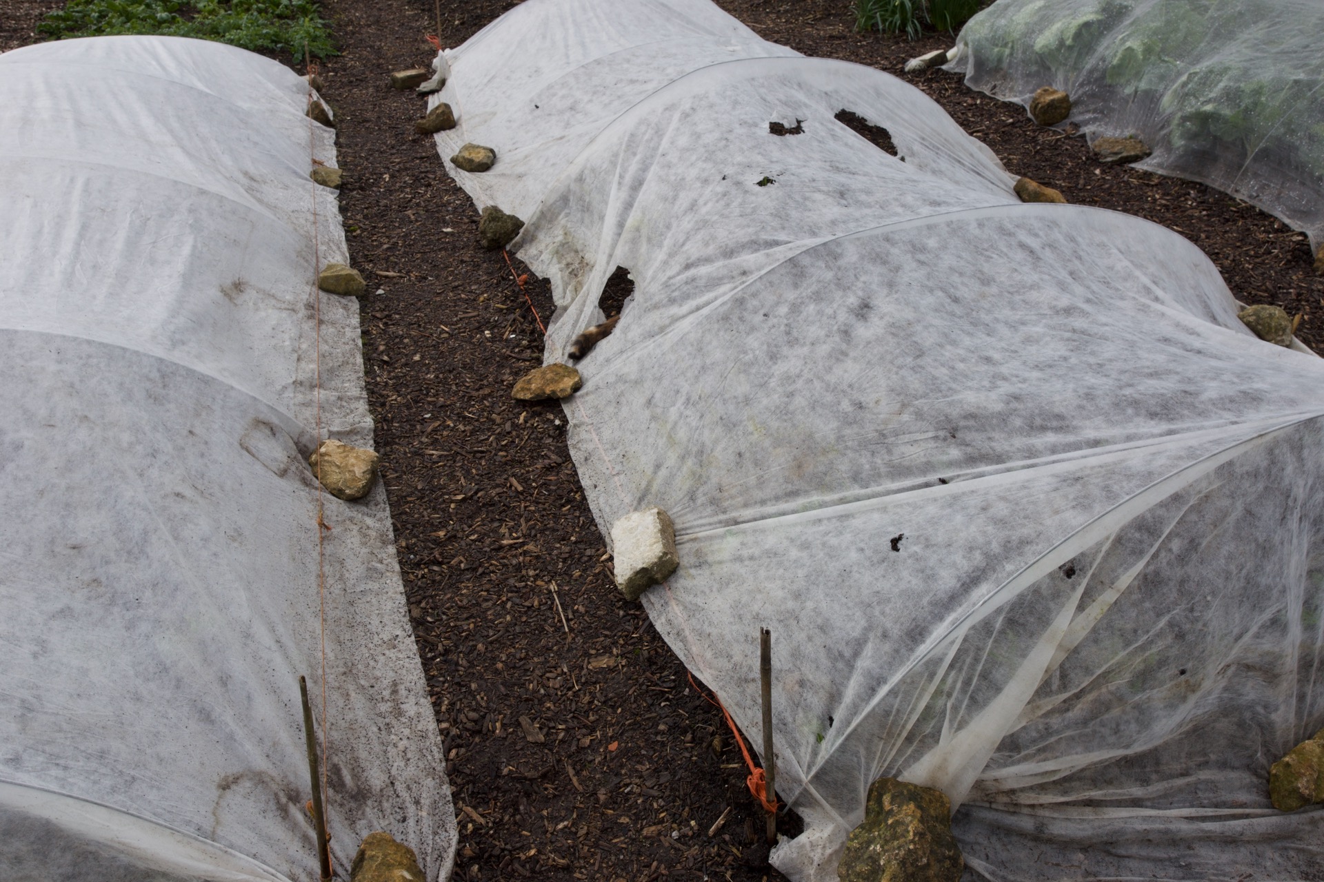 Fleece differences 30gsm left, 25gsm and damage from being older right, is not ideal because Minty the cat dives in for shelter and warmth.