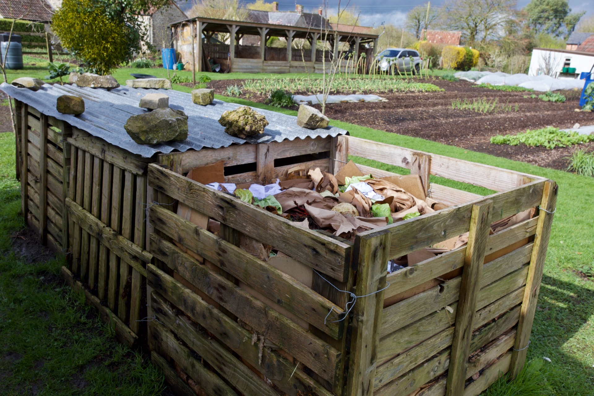 The current compost heap is nearest snd I keep it open for ease of access, while the two finished / maturing bays have protection against rain, as do the main heaps you see further behind. The pallet sides are lined with cardboard to retain warmth and moisture in the heap.