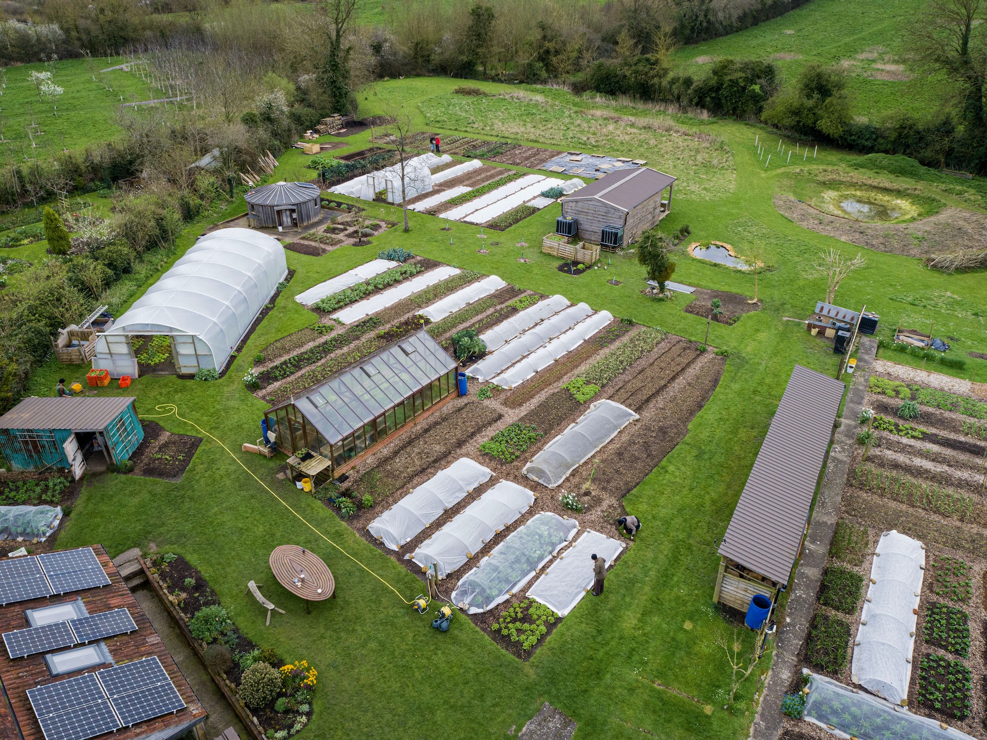 Homeacres 26th March, all beds mulched and many planted, no dig and no cardboard or membranes