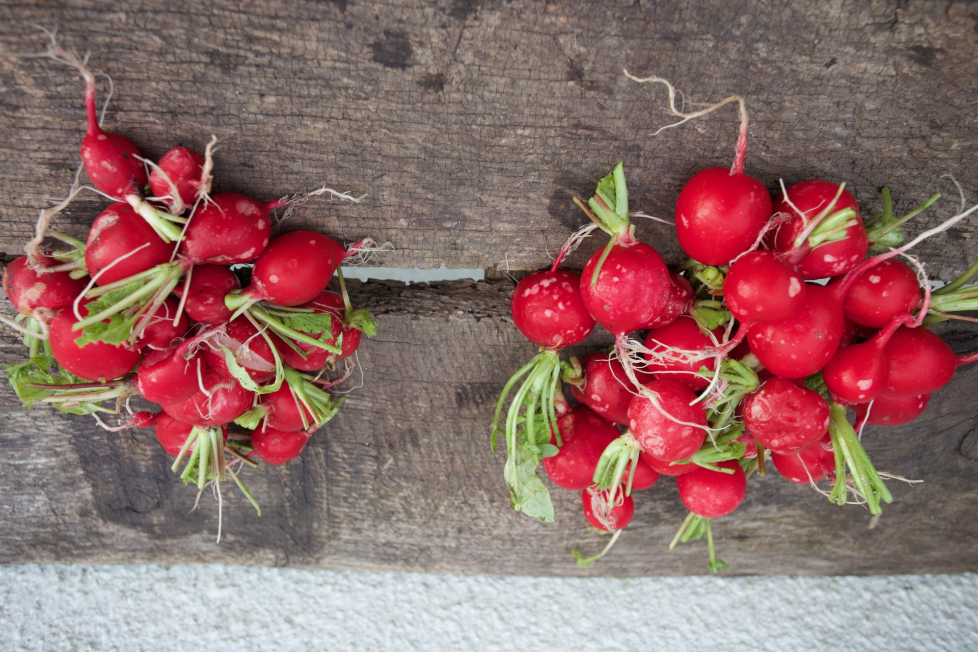 Radish dig 250g and no dig 480g, upside down photo