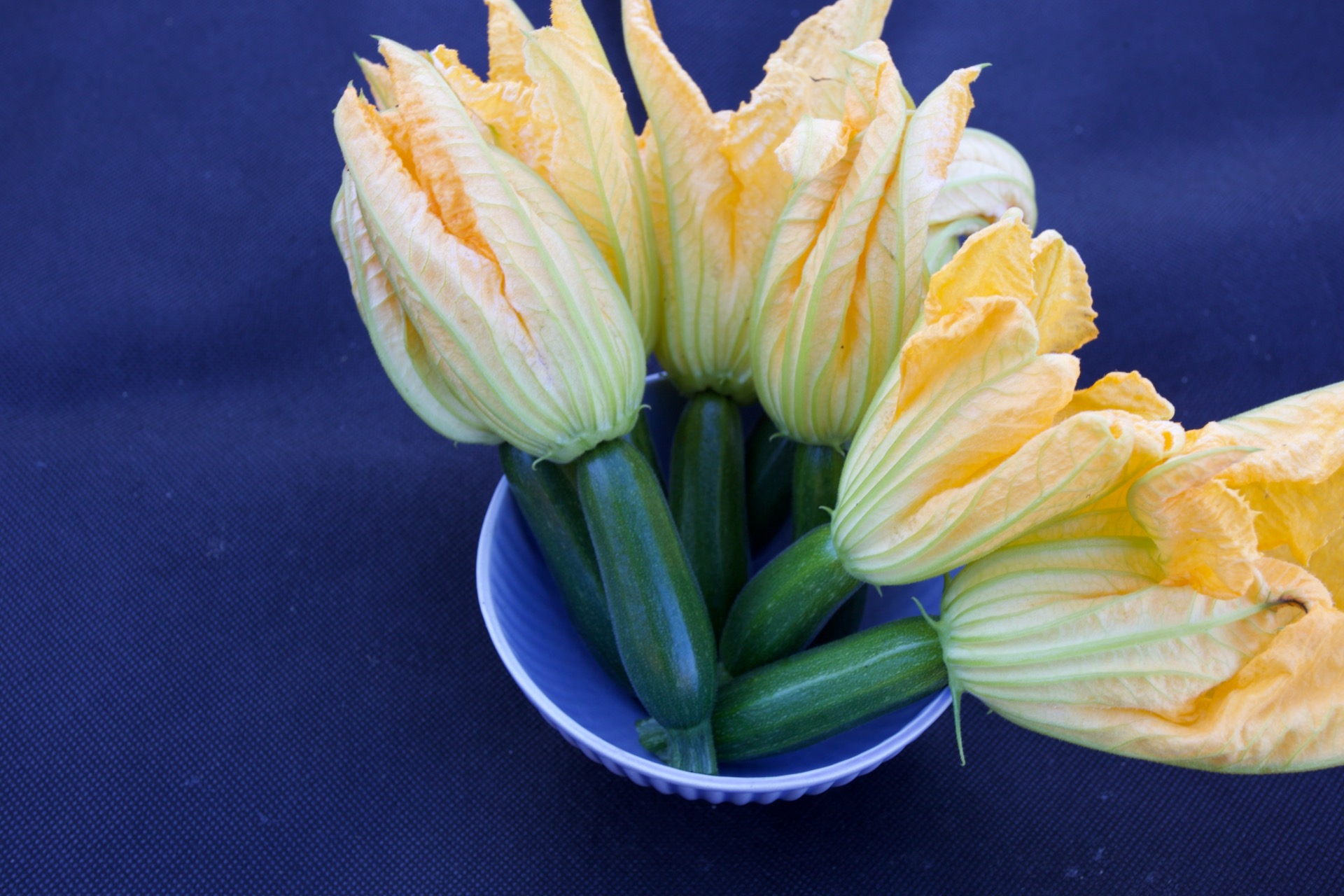 No dig success, courgettes first harvest 2nd June, a joyful moment signalling summer's arrival. From 11 plants.