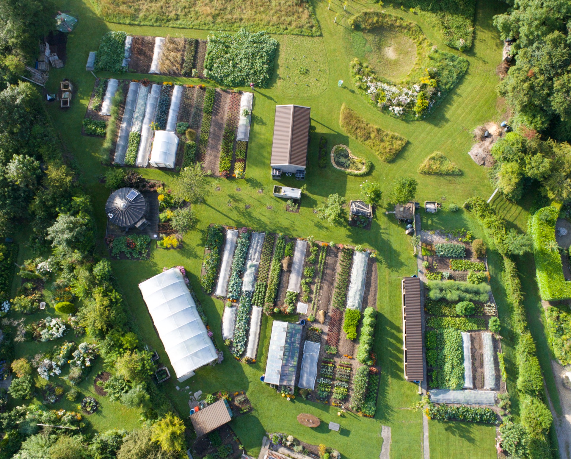 Homeacres no dig garden 27th July 2024, with the 'new area' at top of photo