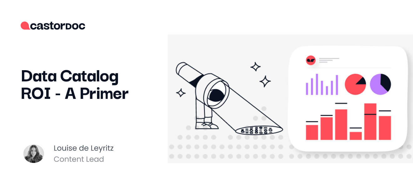 Data Catalog ROI A Primer CastorDoc Blog