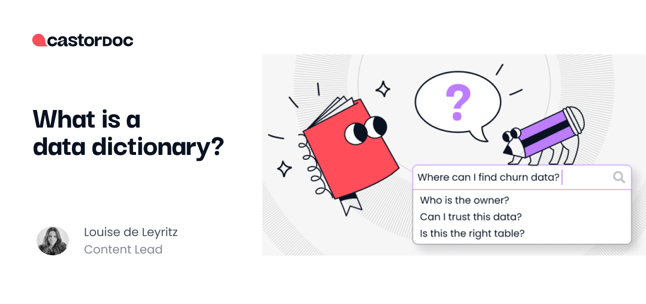 What is a Data Dictionary? CastorDoc Blog