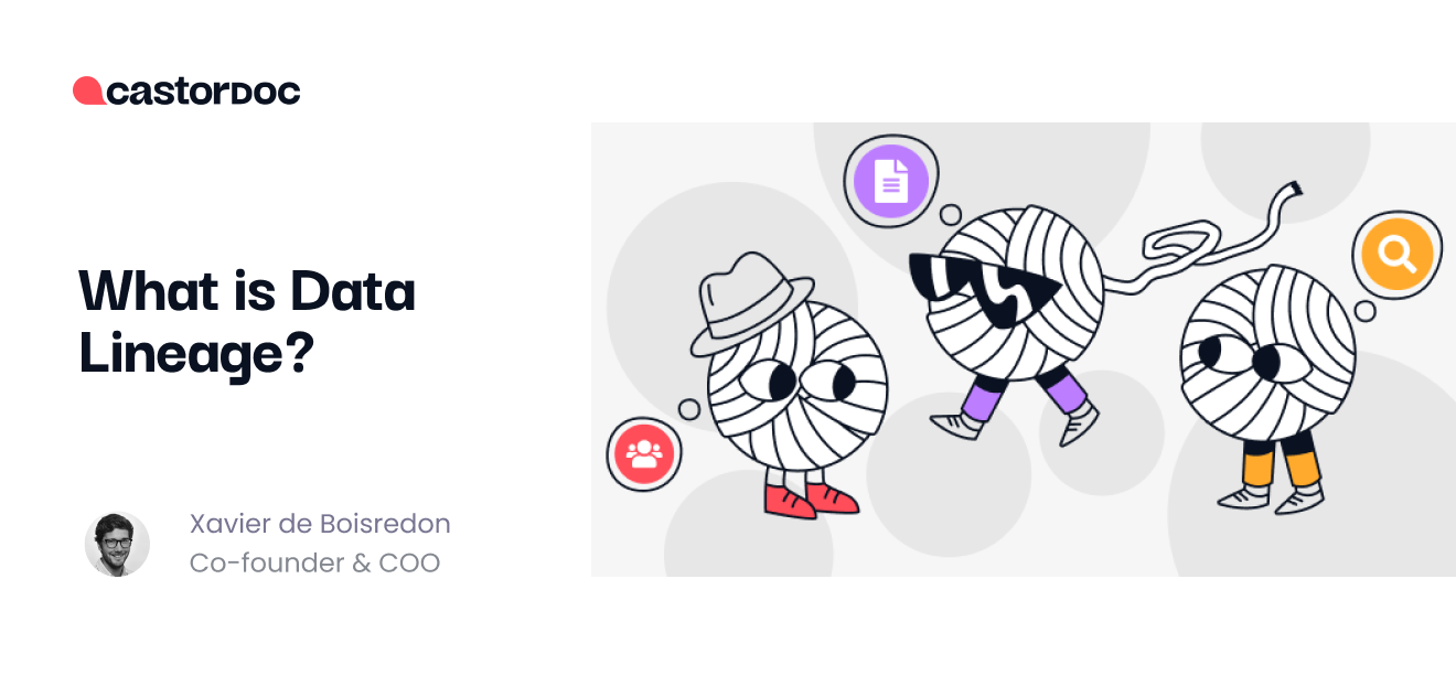 What is Data Lineage? - CastorDoc Blog