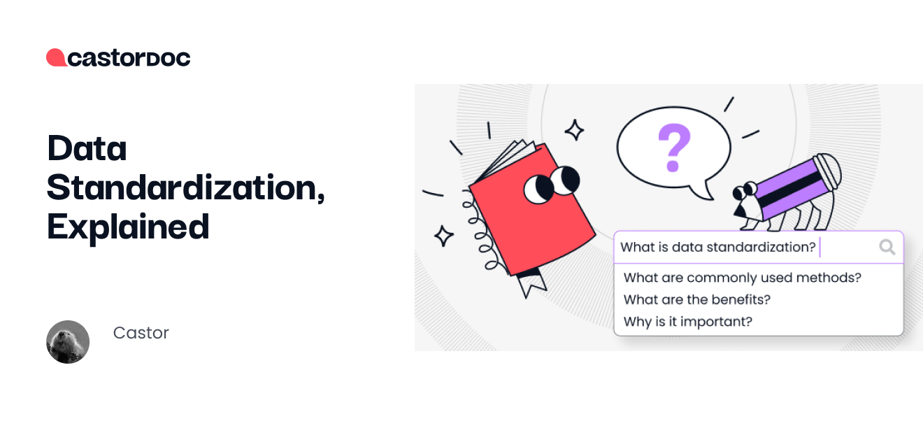 Data Standardization, Explained - CastorDoc Blog