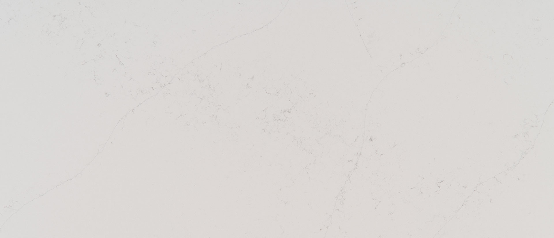 Calacatta Botanica view 3