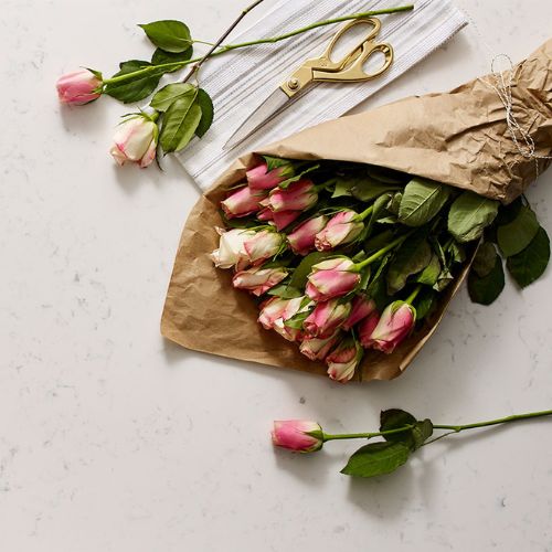 Cashmere Carrara view 2