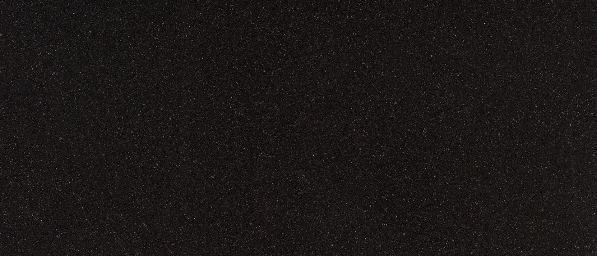 Midnight Majesty view 3