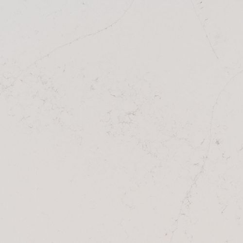 Calacatta Botanica Quartz