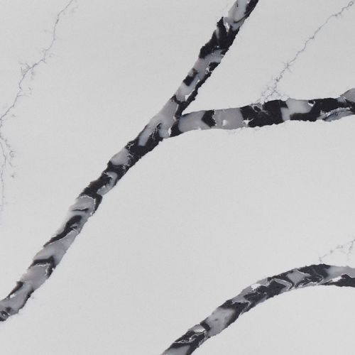 Calacatta Laza Night Quartz