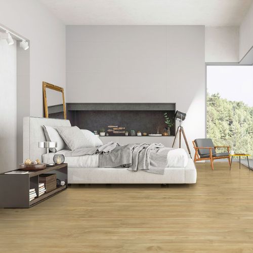 Cyrus Brookline view 2