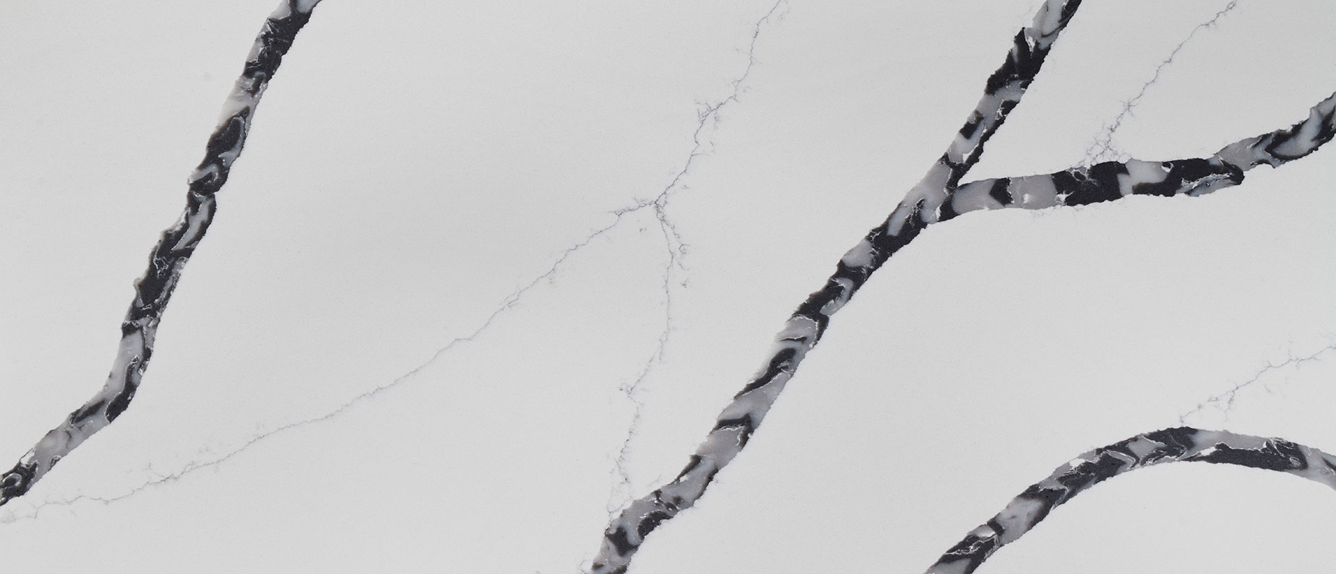 Calacatta Laza Night view 3