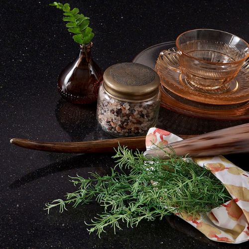 Midnight Majesty view 2