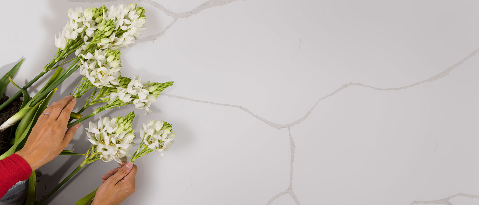 Calacatta Classique view 5