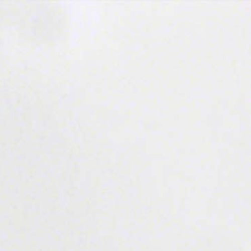 Elegant White Marble