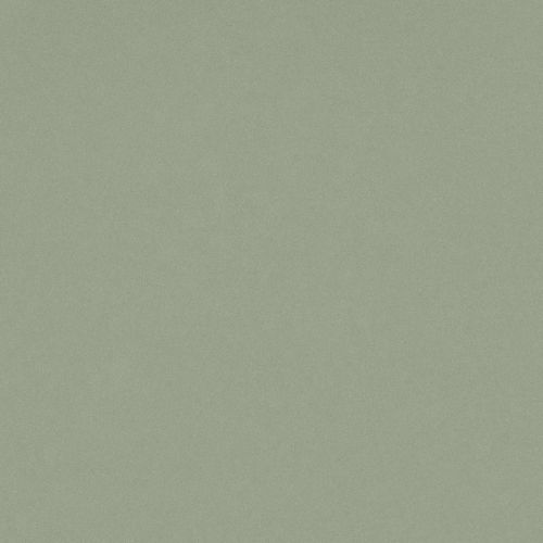 Posidonia Green Quartz