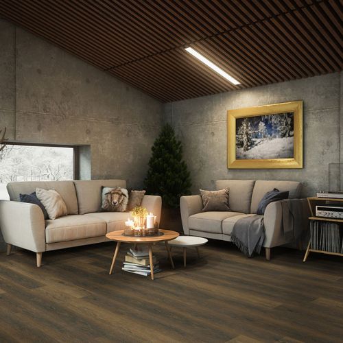 XL Cyrus Barrell view 2