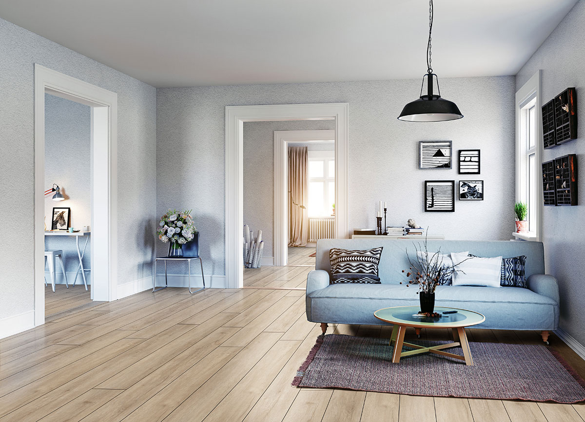 XL Cyrus Sandino view 5