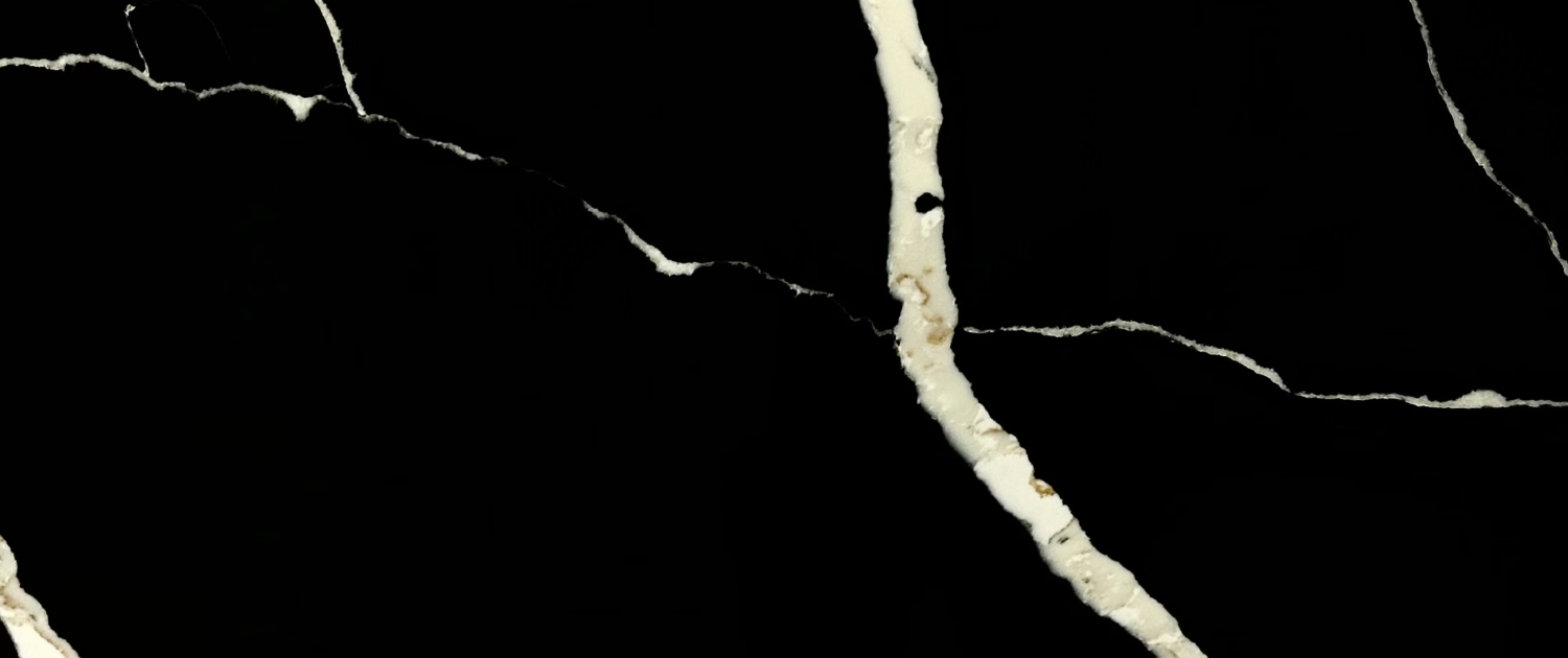 Calacatta Blanche Noir view 3