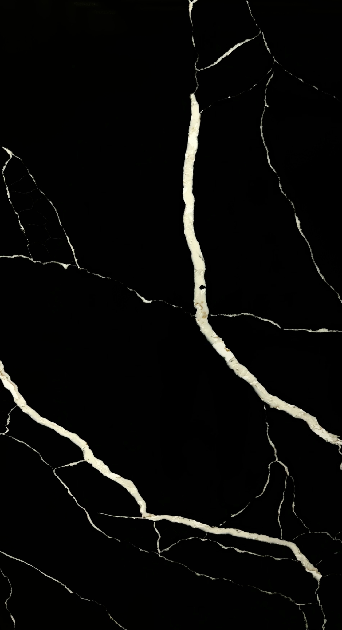 Calacatta Blanche Noir view 4