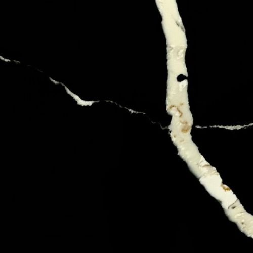 Calacatta Blanche Noir Quartz