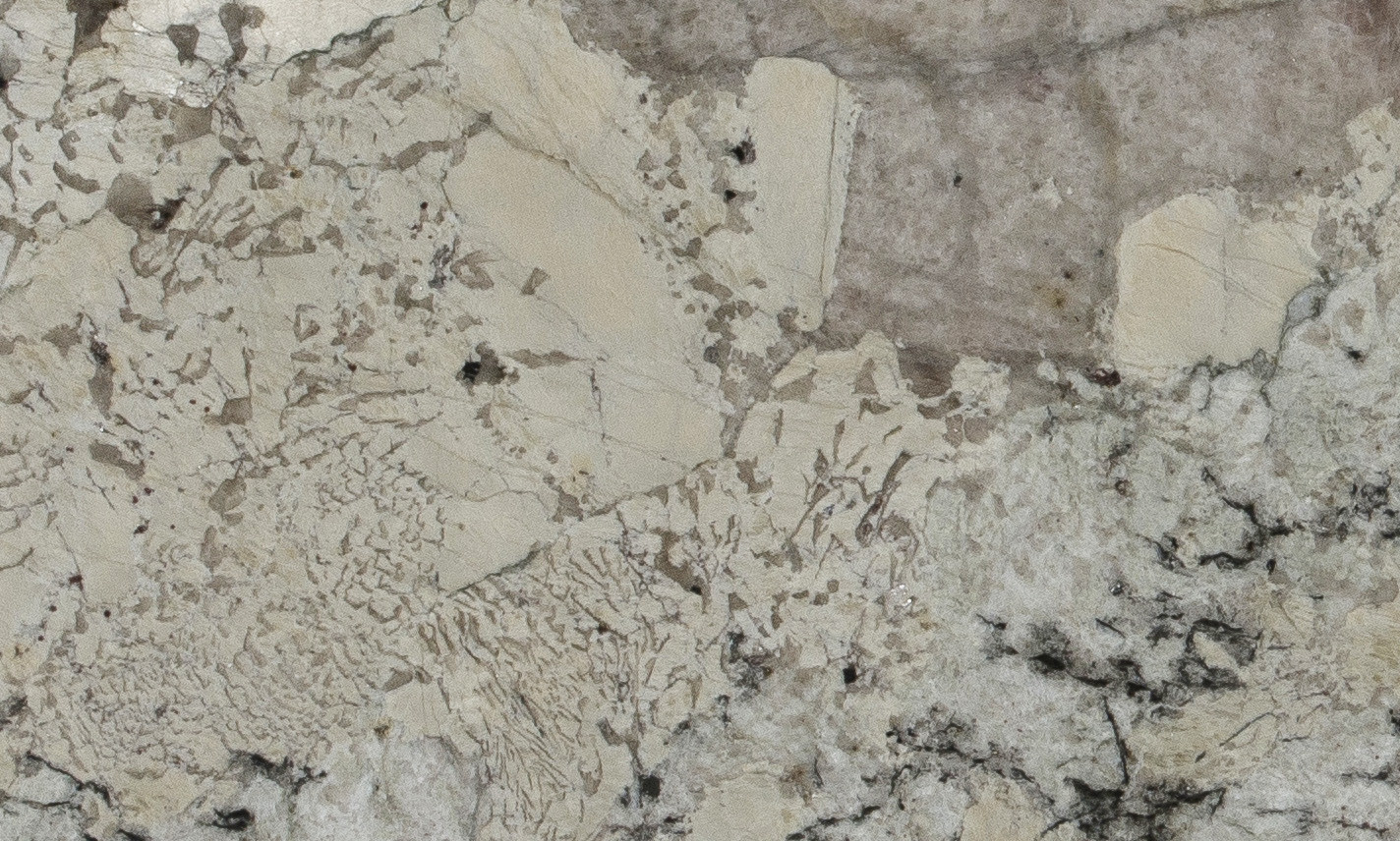 Delicatus Ice view 3