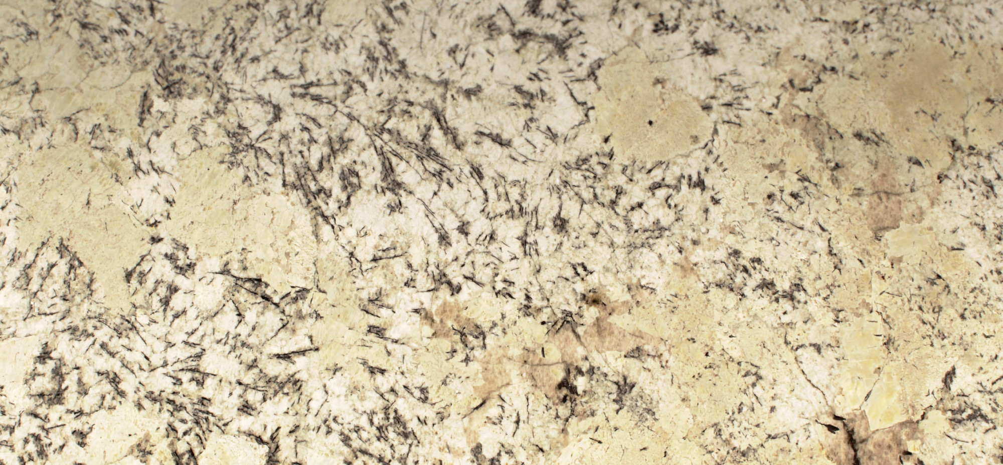 Delicatus Ice view 4