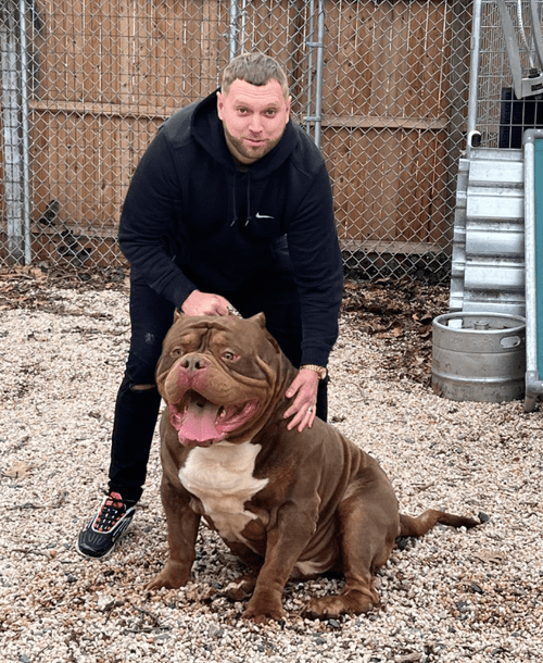 Big Baller Kennels World Famous American Bully Kennel Home of the