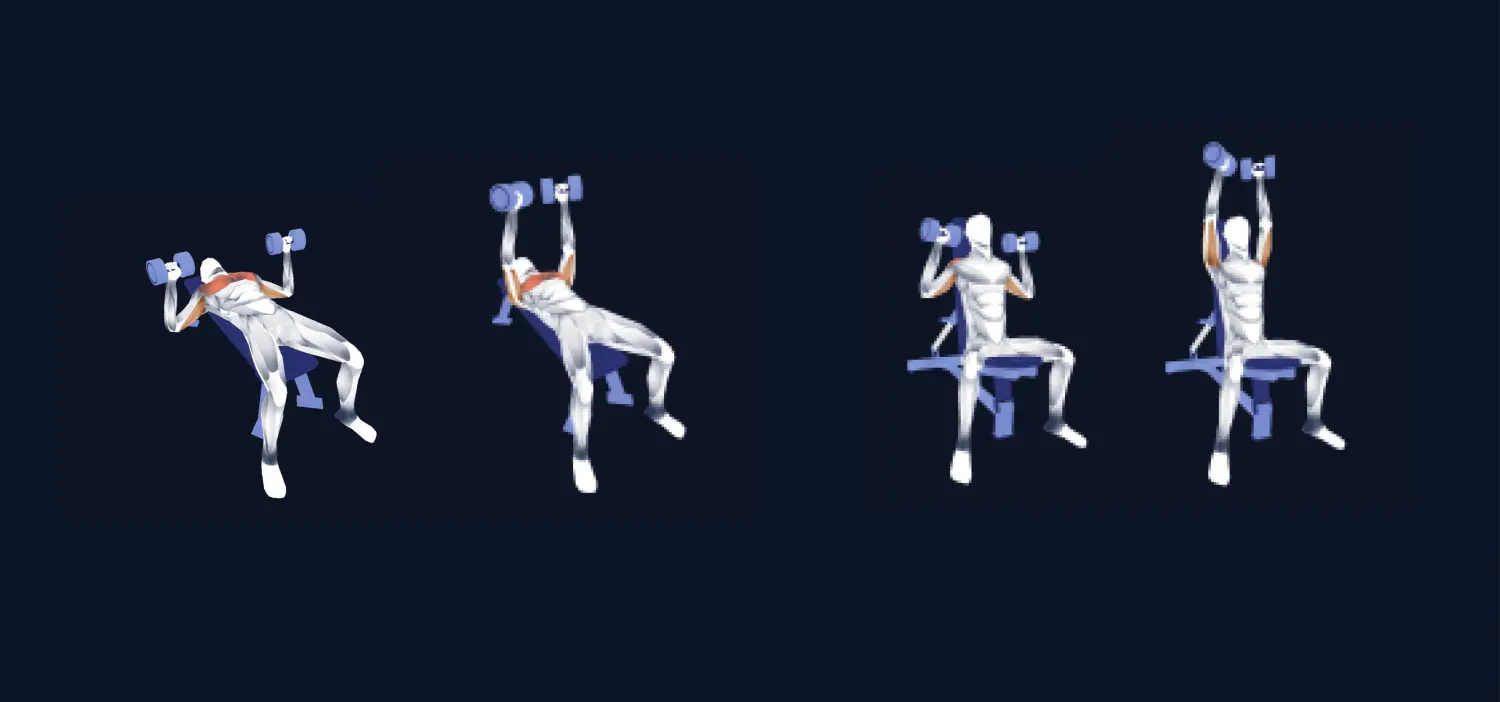 Zeno Fitness & Habits App